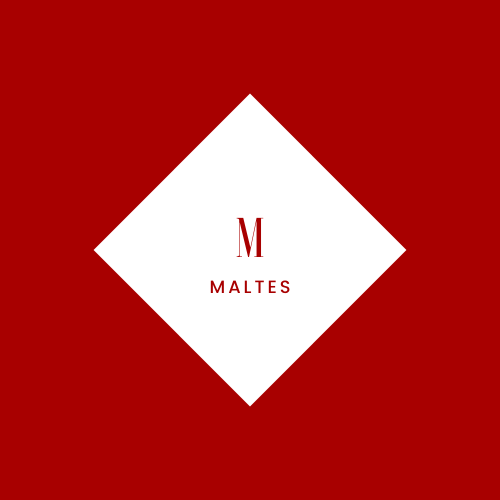 store_logo