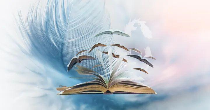 Moi, j'ai été choisie