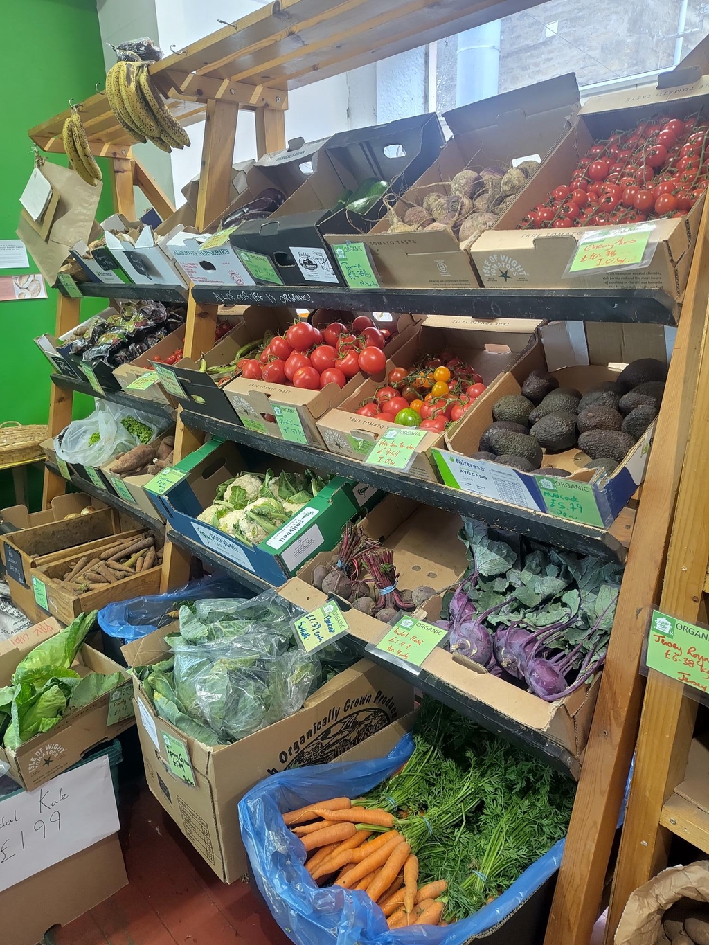 Welcome to Single Step Co-operative!