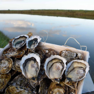 Vente d'huitres de Noël de Marennes d'Oléron 