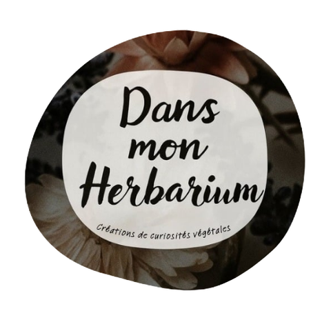 Dans mon Herbarium - Création de tableaux végétaux 