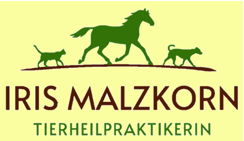 store_logo