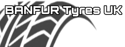 store_logo
