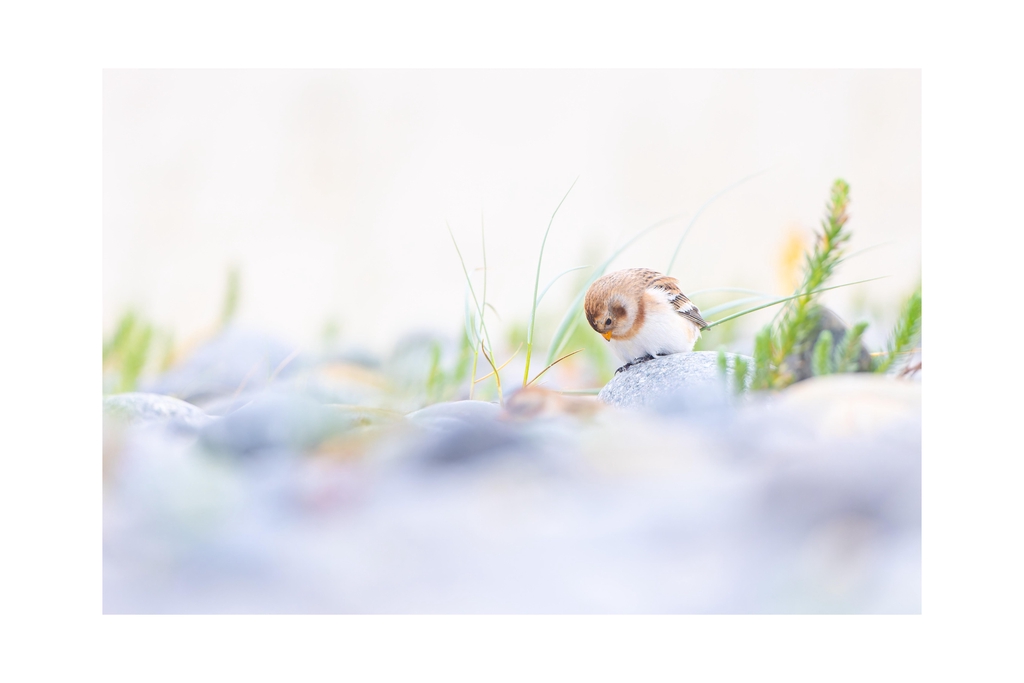 Impressions grand format