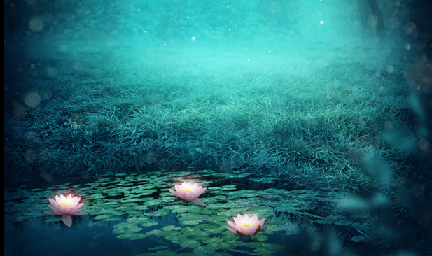 Association Mélusine