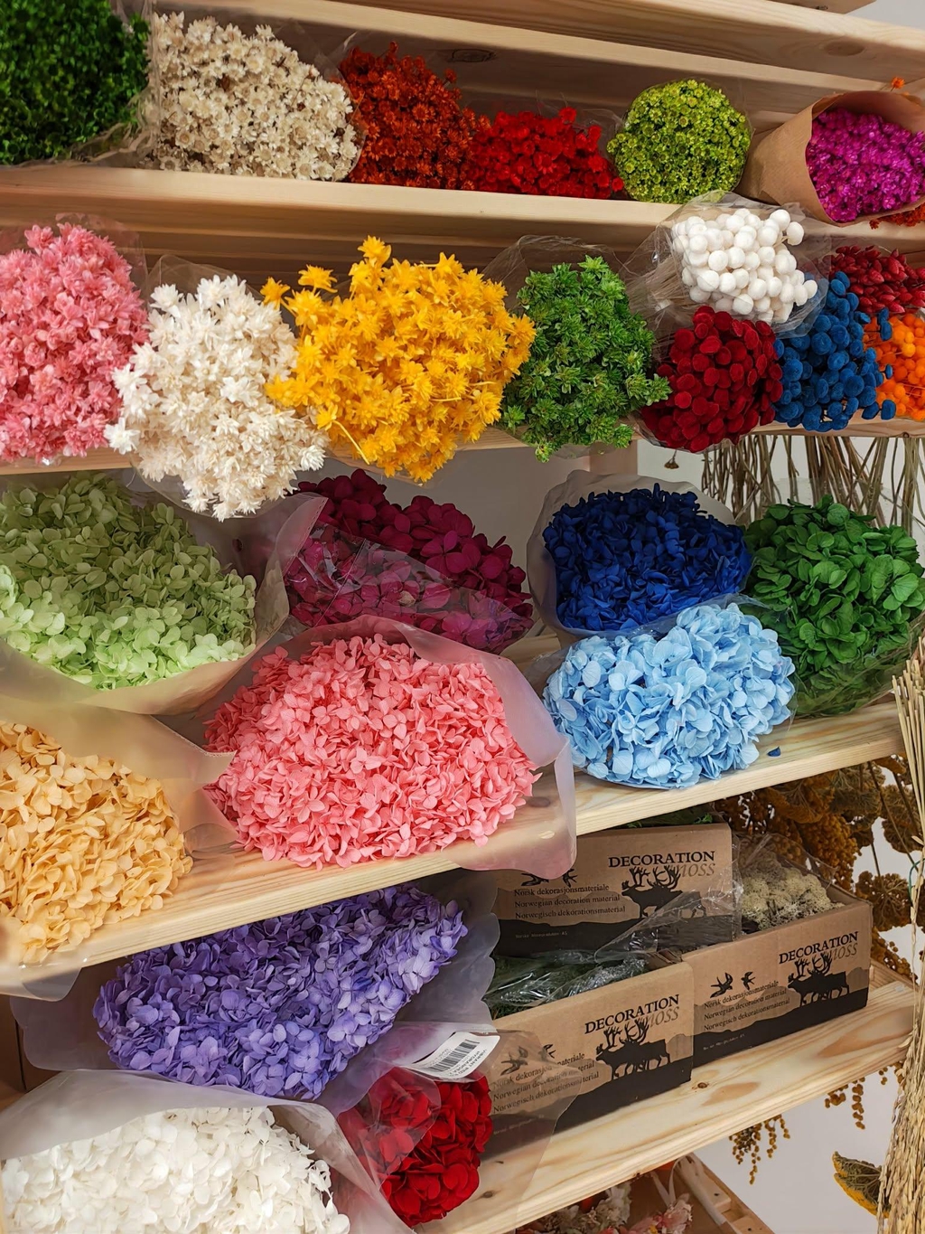 Fleurs séchées multicolores
