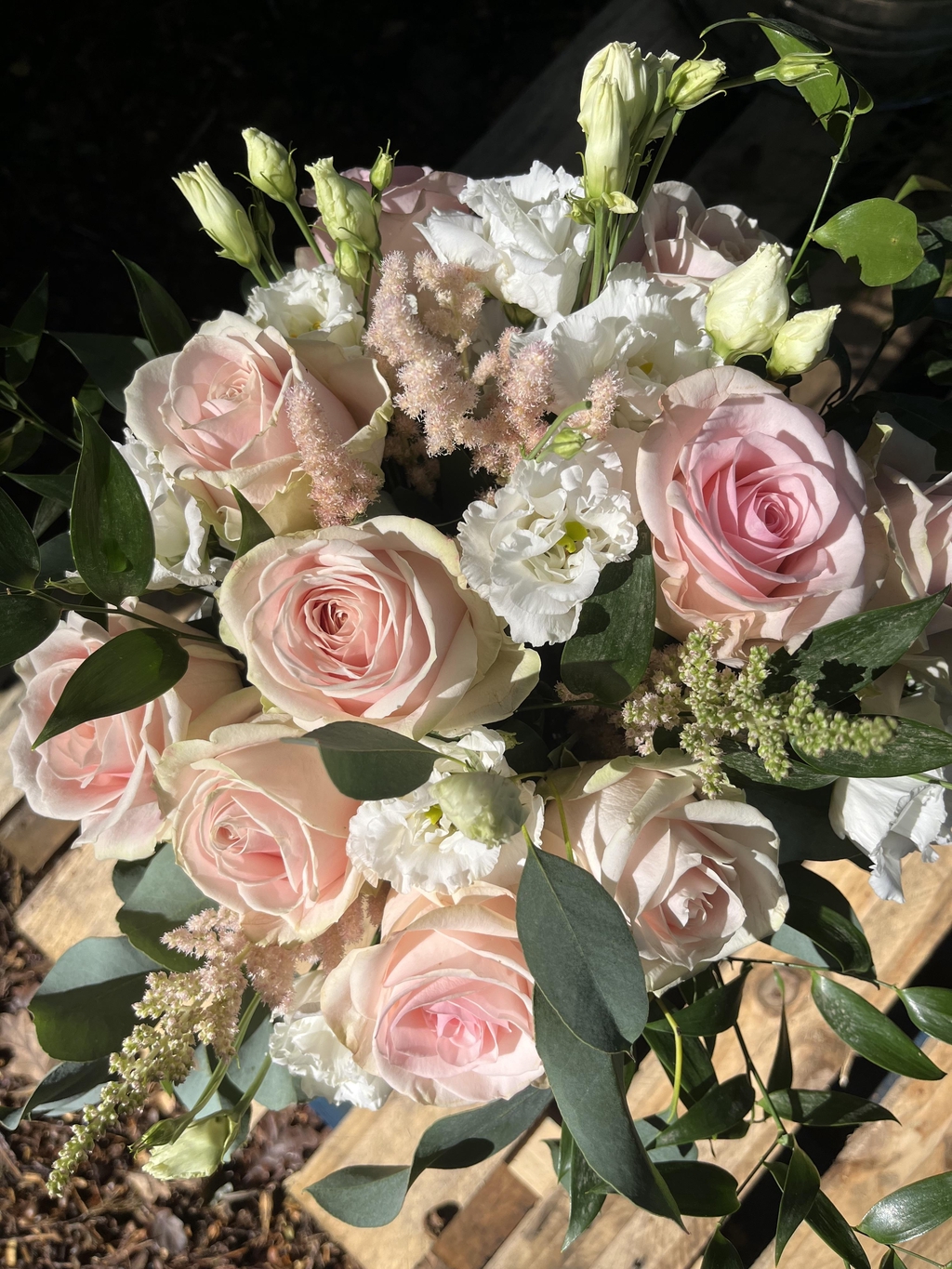 product_list_image_cover