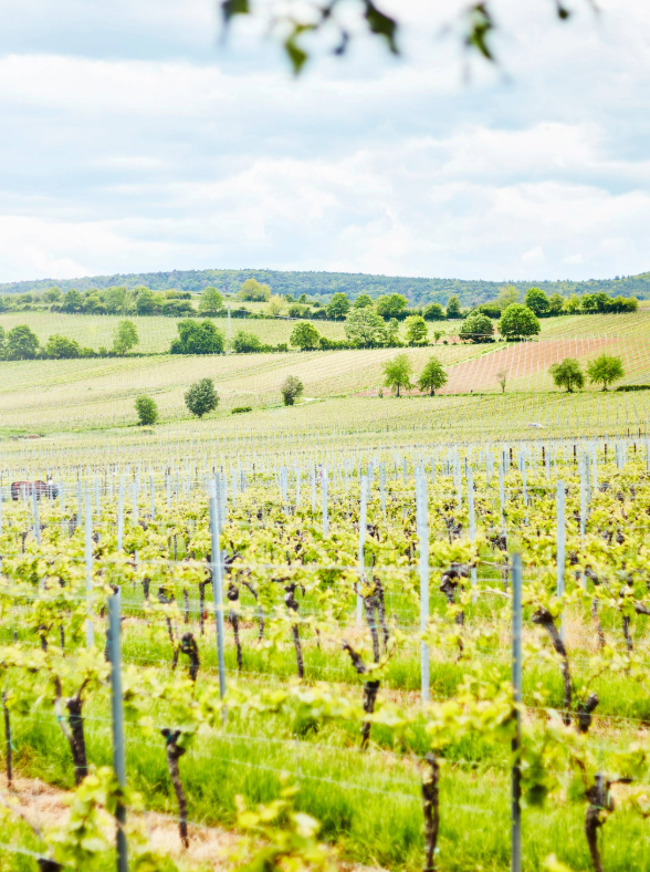 product_list_image_cover