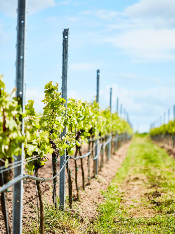 product_list_image_cover