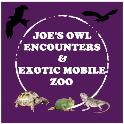store_logo