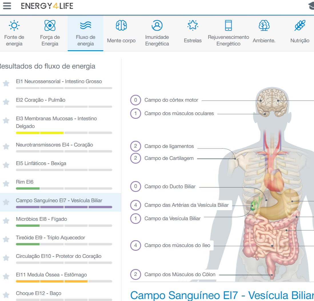A Energy4Life é líder em bioenergética: o estudo, a detecção e a correção da energia em sistemas vivos.