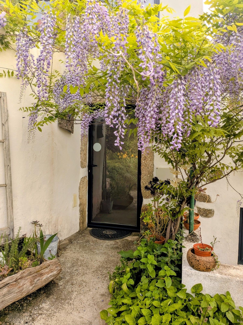 A propriedade é composta por casas independentes e suites simples e autênticas, sem luxos artificiais