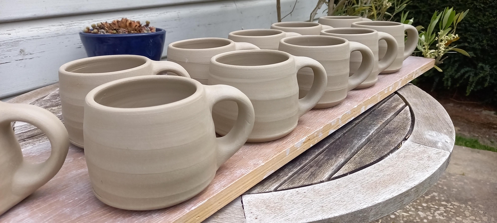  allenpots