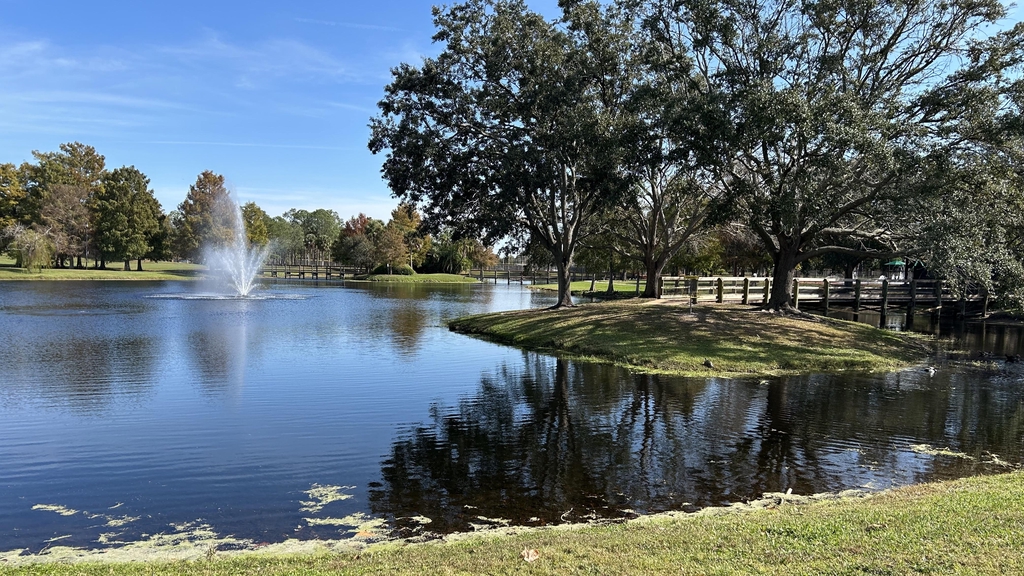 Arcticsnap disc golf accessories