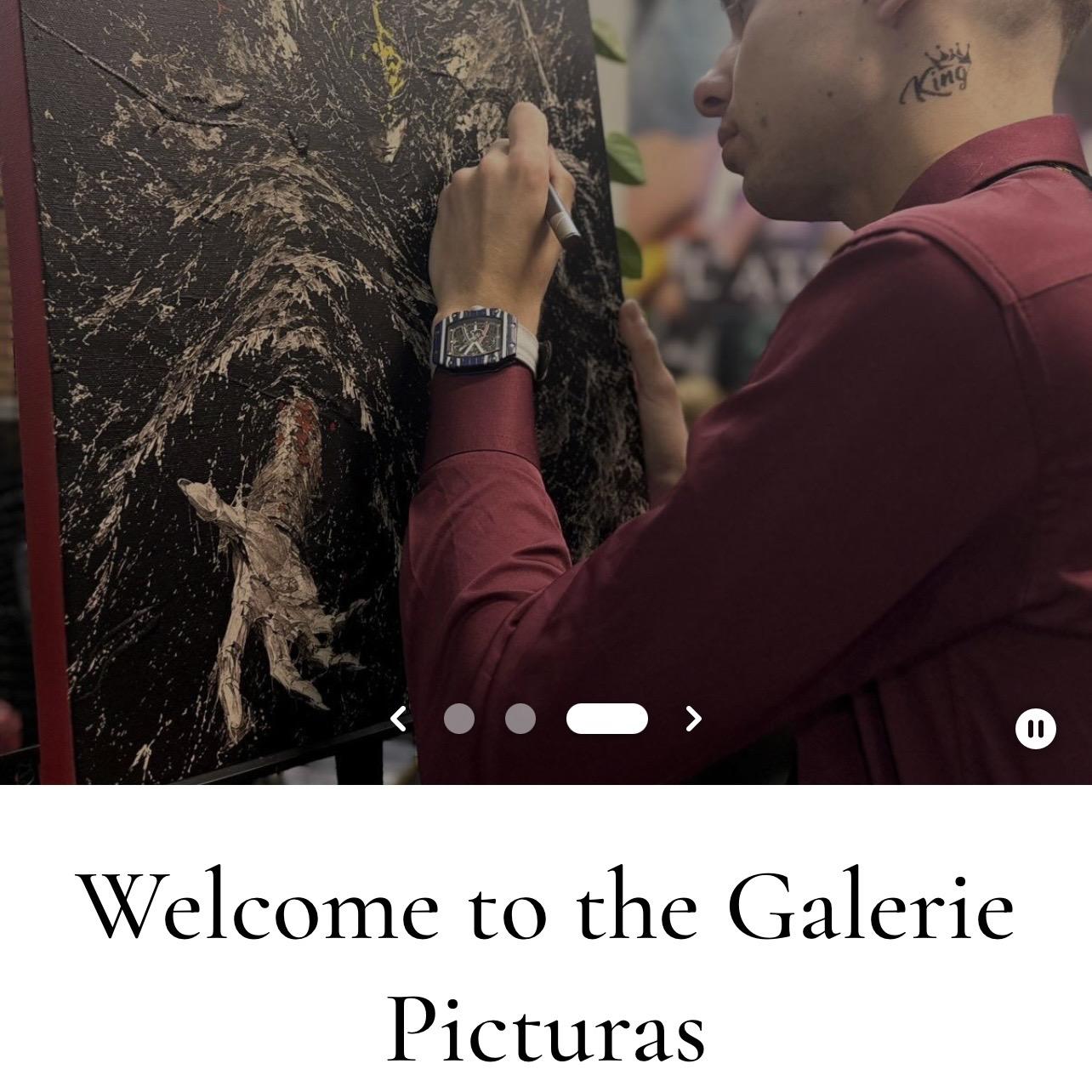 Screenshot of the Landing page of Picturas webshop