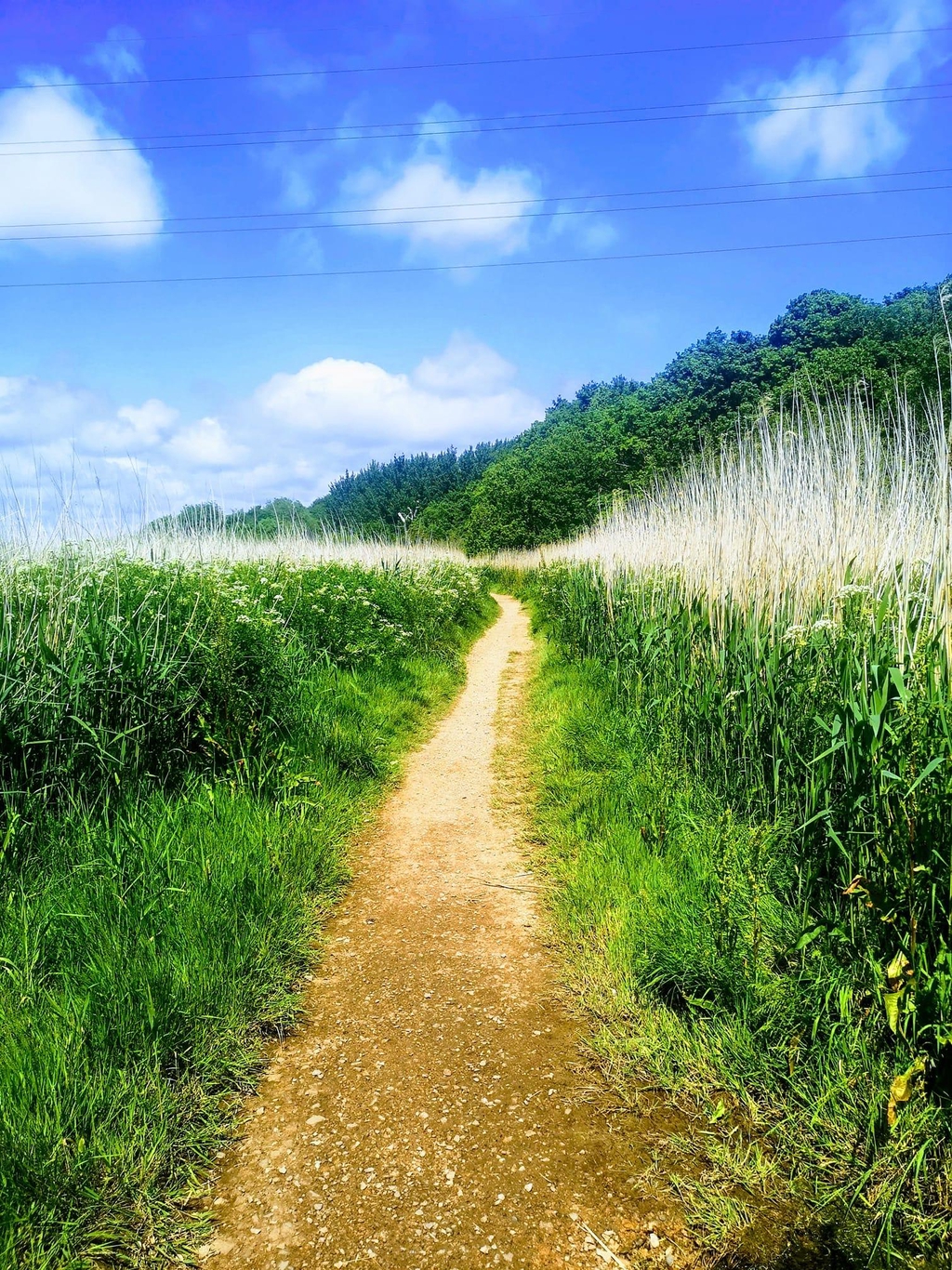 More Positive Me Online Store