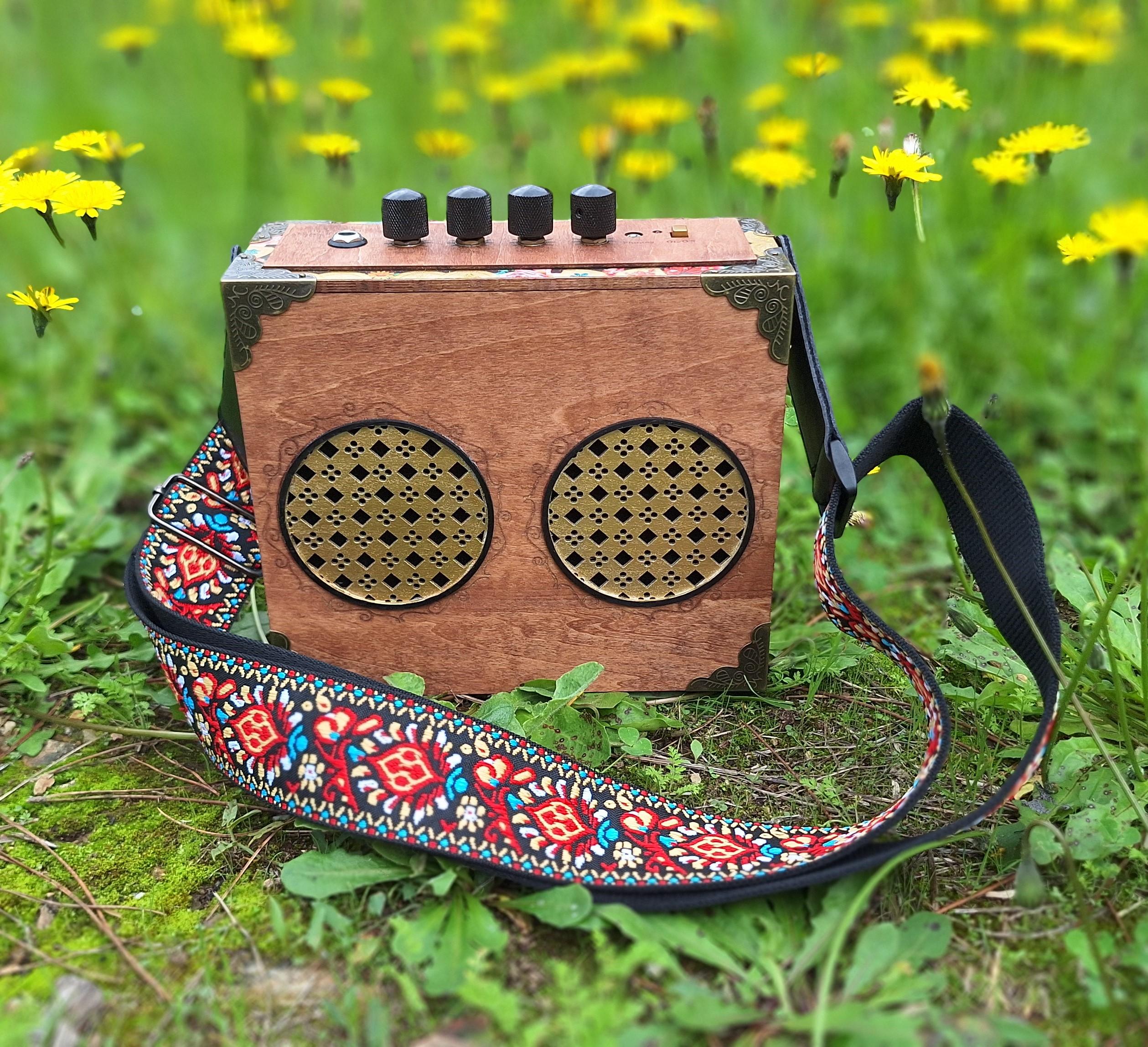 Paradiso stereo cigar box guitar amplifier