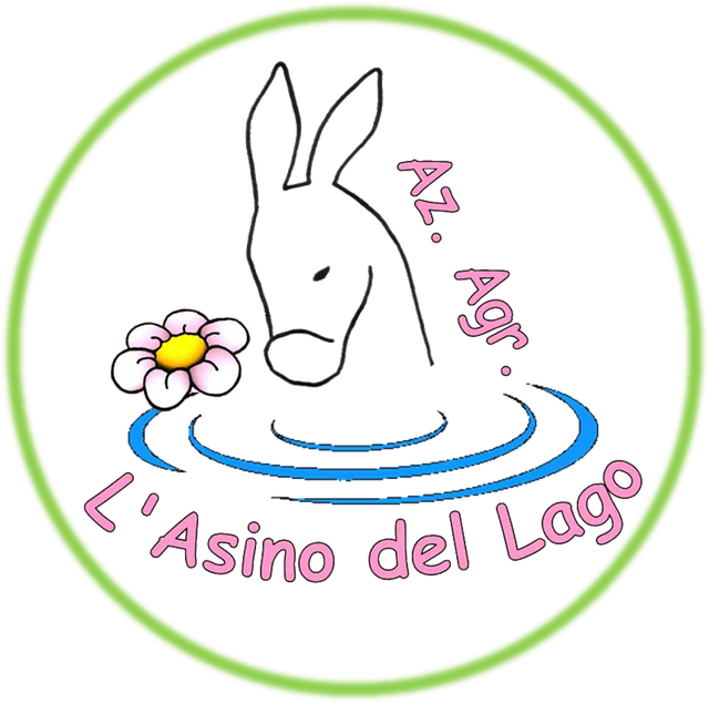 store_logo