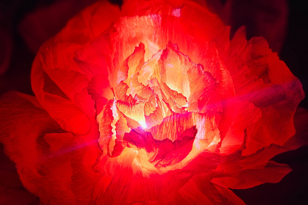 
Apportez une ambiance chaleureuse et poétique à votre intérieur grâce à cette décoration florale lumineuse à LED en papier vernis. Élégante et originale, elle diffuse une lumière douce et apaisante, idéale pour créer une atmosphère cosy dans un salon, une chambre ou un espace de détente. Inspirée de la nature, cette décoration lumineuse associe la finesse du papier vernis à la modernité des LED basse consommation, offrant une luminosité unique sans éblouir.

Parfaite pour sublimer votre décoration intérieure, cette lampe florale décorative apporte une touche naturelle et raffinée tout en s’intégrant facilement à différents styles : bohème, contemporain, minimaliste ou scandinave. Légère et esthétique, elle constitue également une excellente idée cadeau pour les amateurs de décoration et d’objets design.
