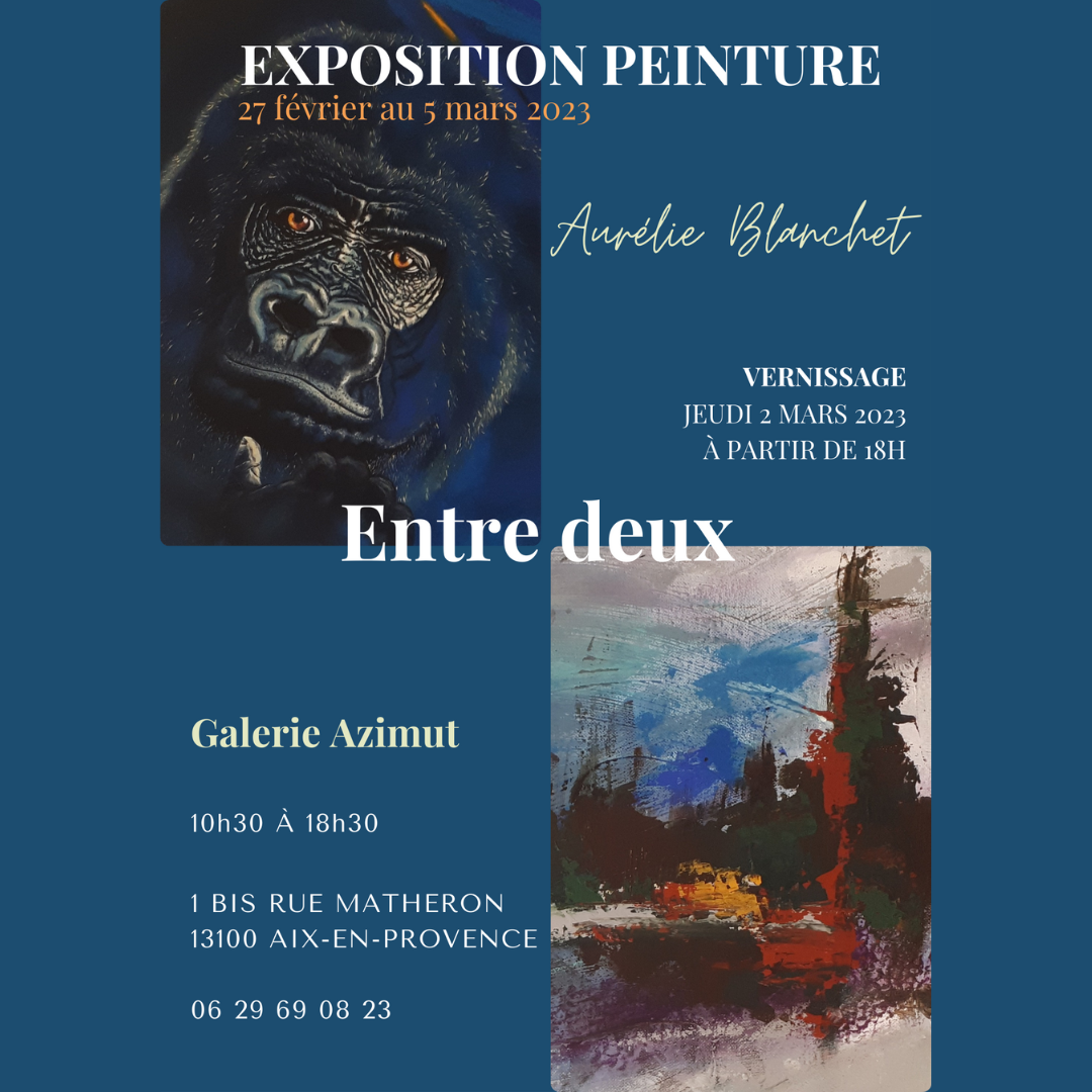 Exposition des peintures de l'artiste peintre Aurélie Blanchet à la Galerie Azimut à Aix-en-Provence du 27 février au 5 mars 2023