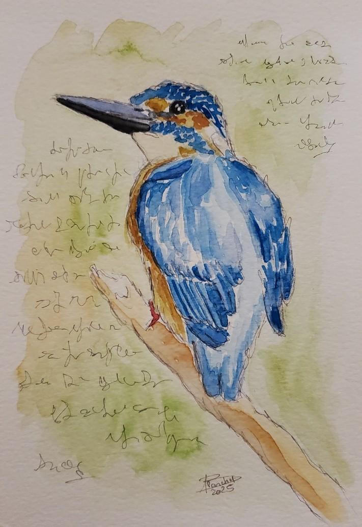 Peintures originales animaux oiseaux singes acryliques sur toile aquarelle sur papier