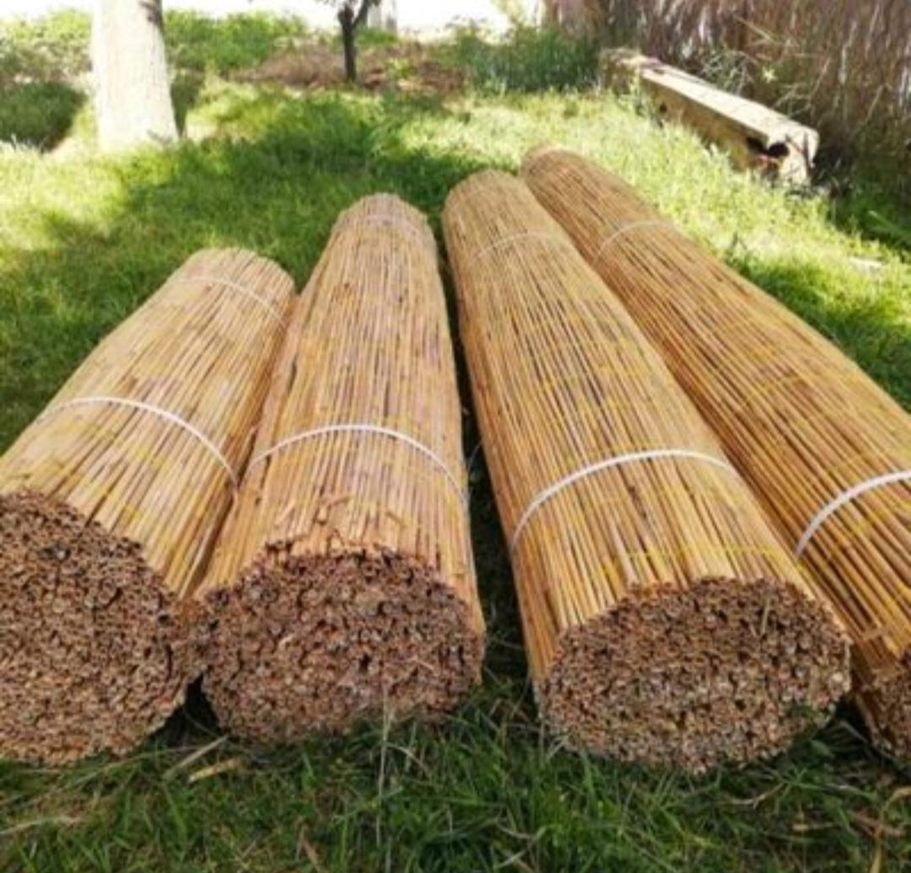 Premium qualité brise vue en canisse roseau 