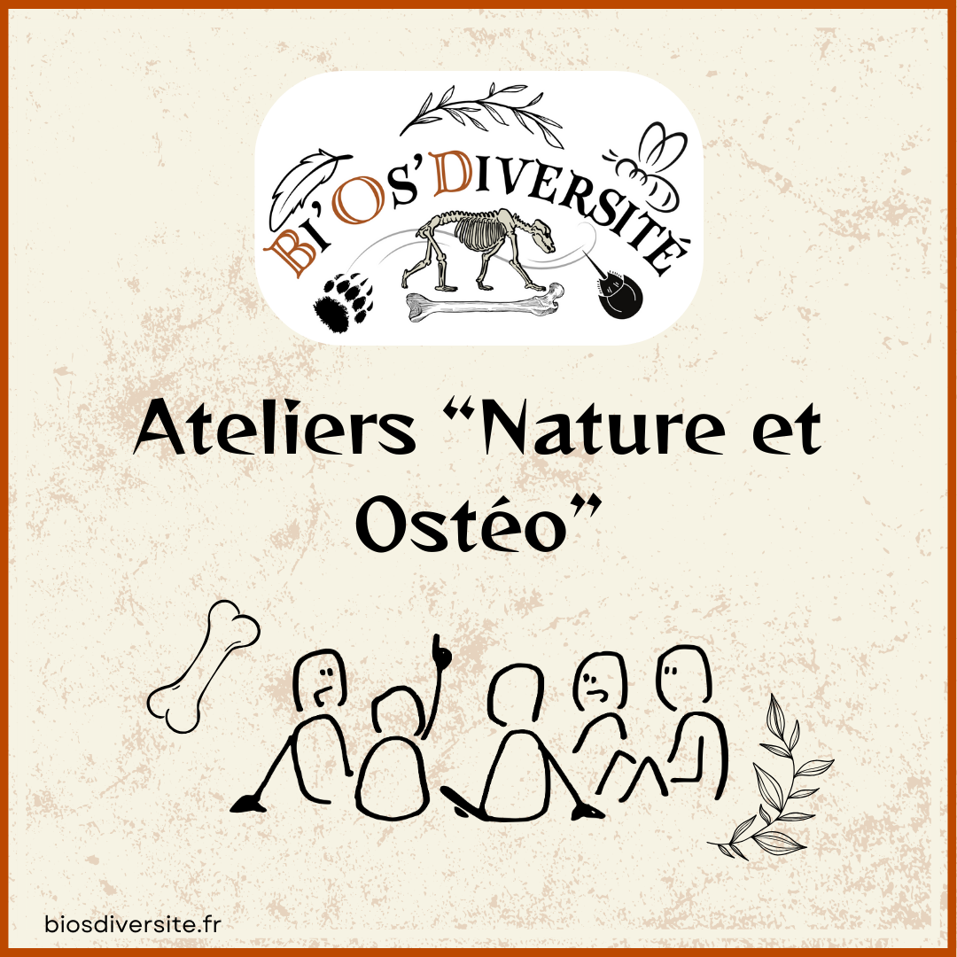 Ateliers pédagogiques