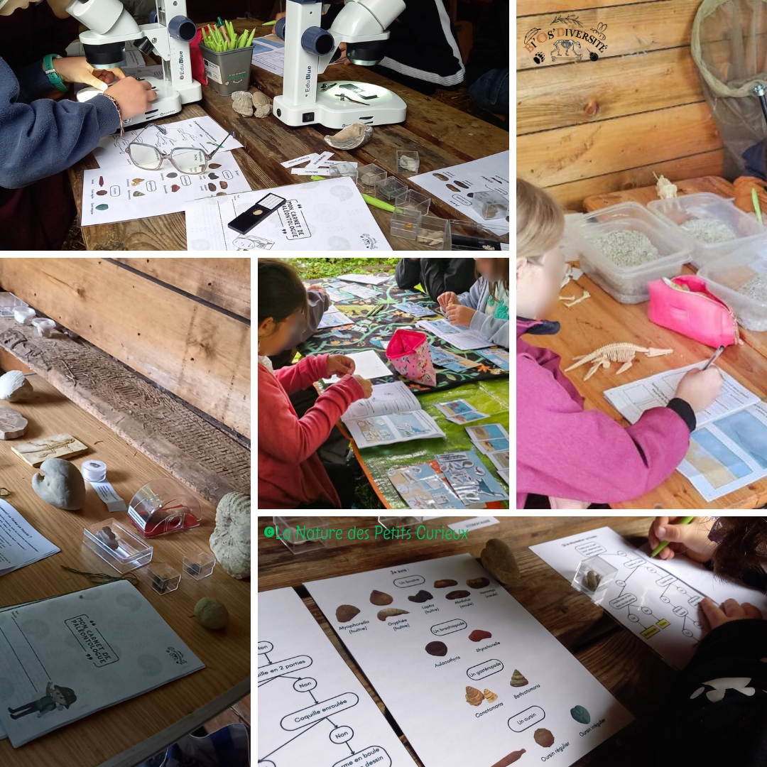Ateliers pédagogiques