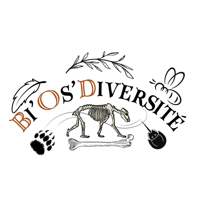 store_logo