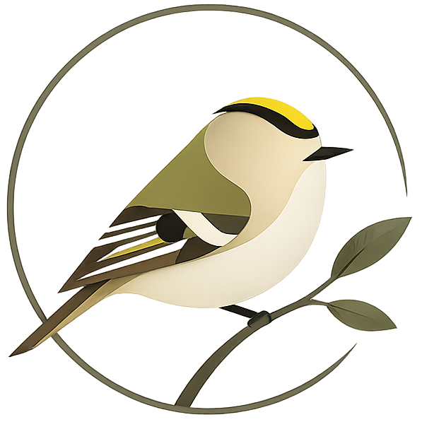 Goldcrest