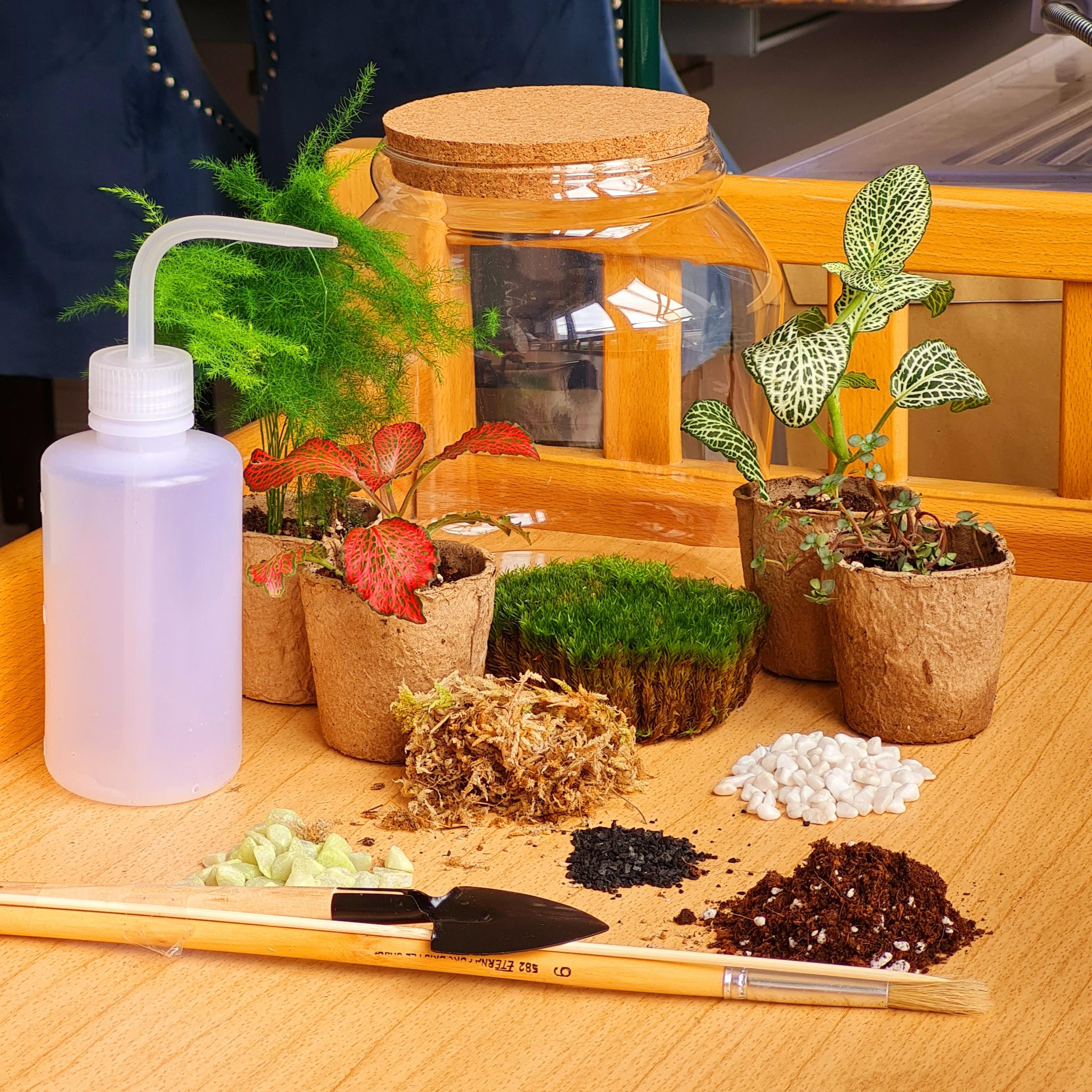 Terrarium kits