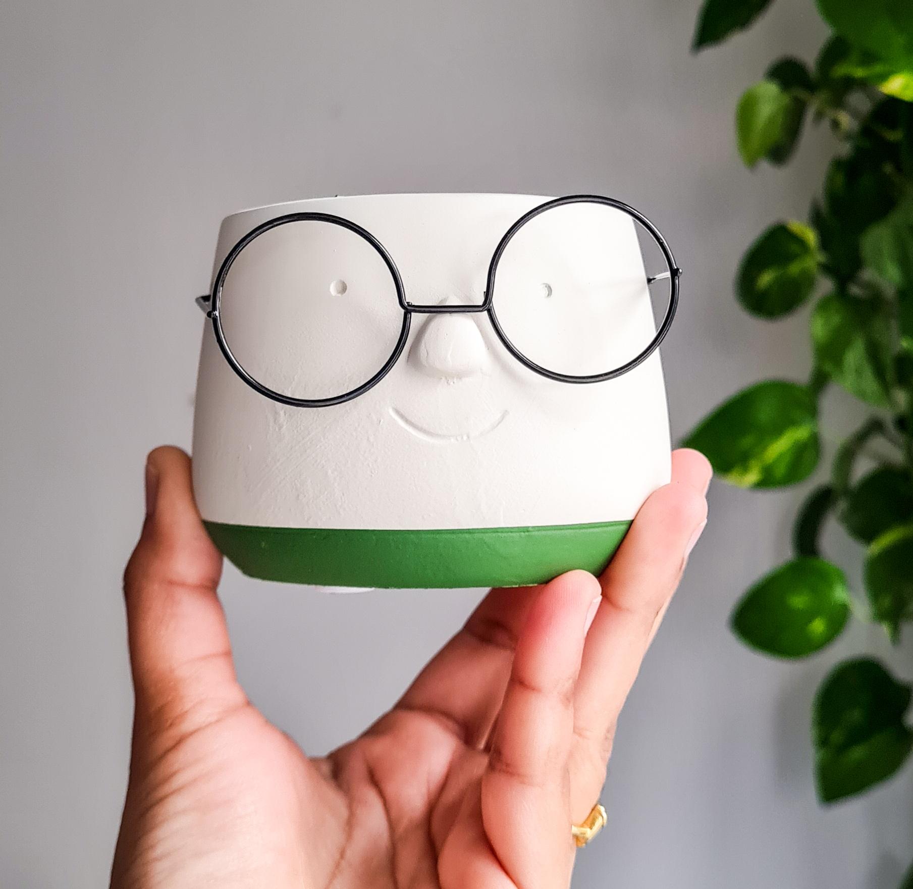 Plant Pots