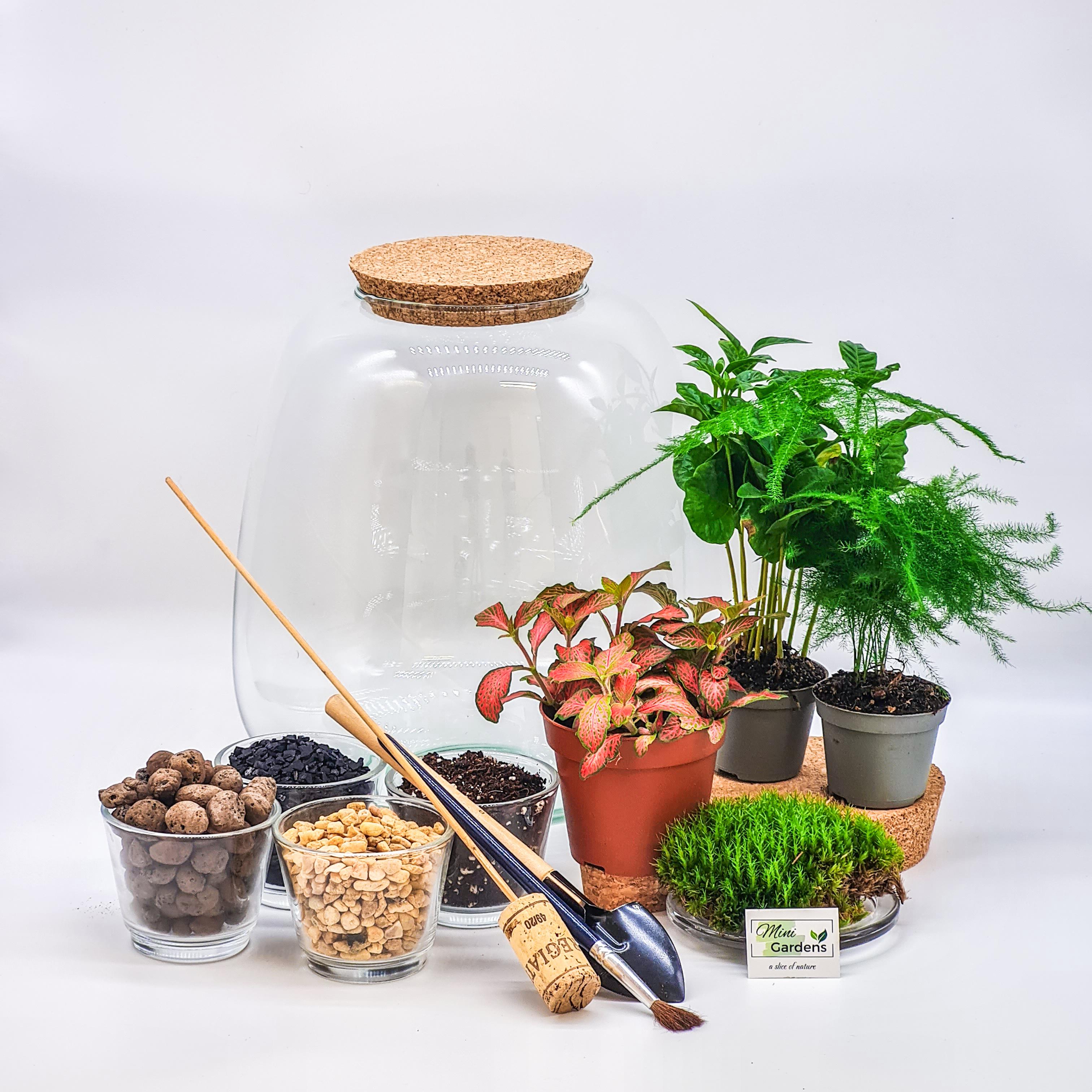 Terrarium kits