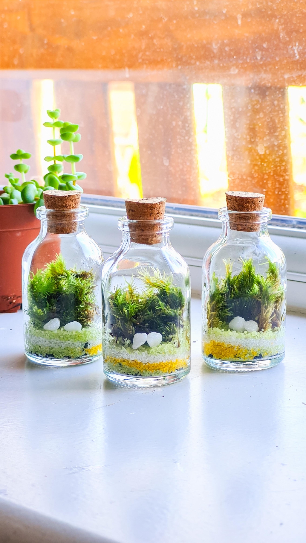 Moss wishing jar 