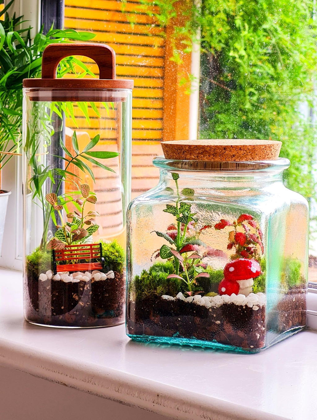 Closed Terrariums 