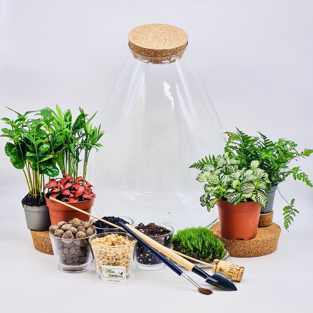 Terrarium kits