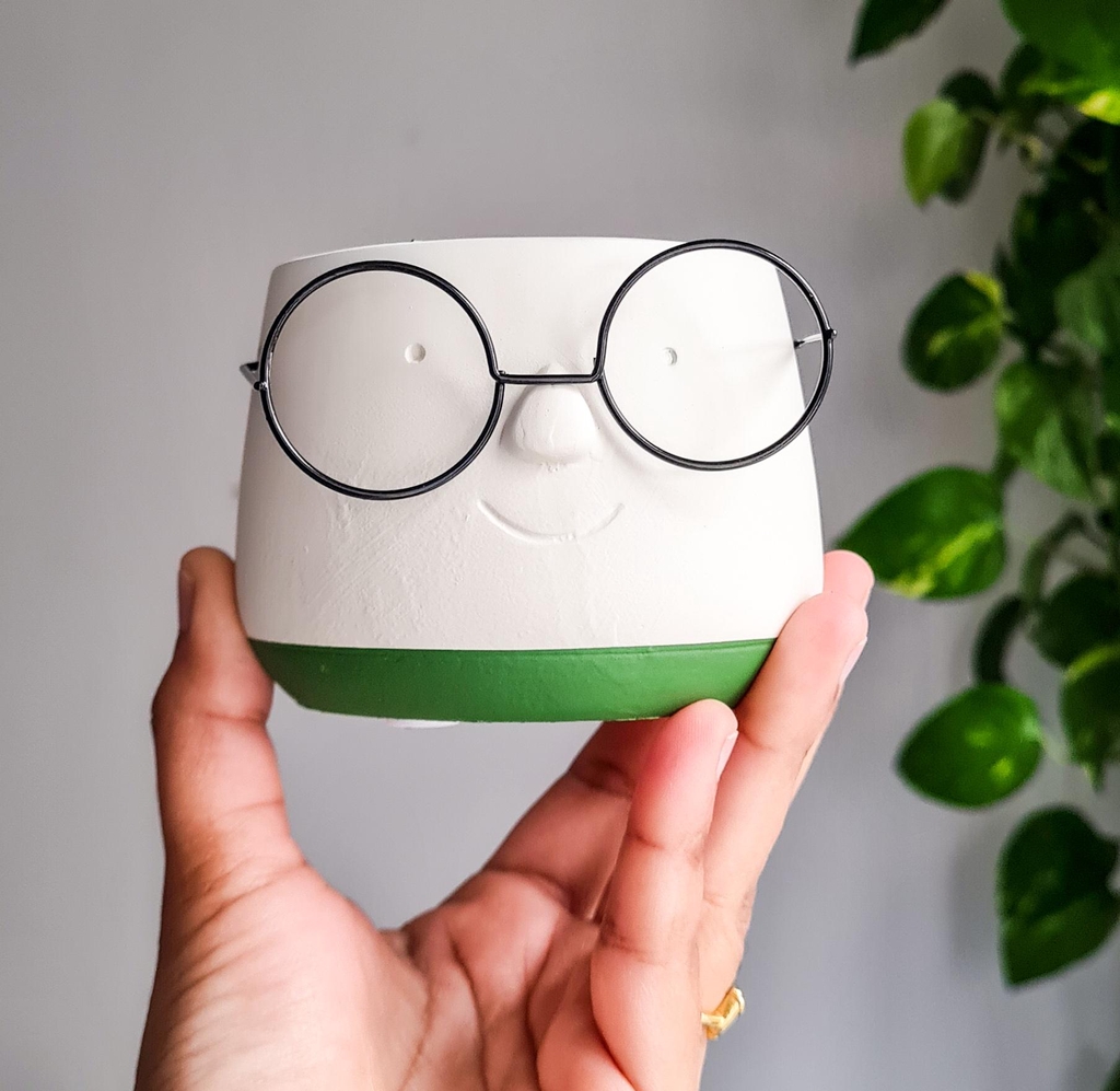 Plant Pots