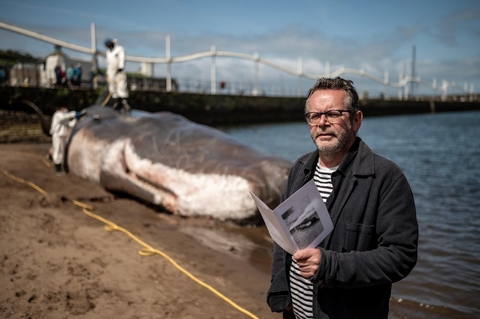 Buy books and things by david Gaffney here