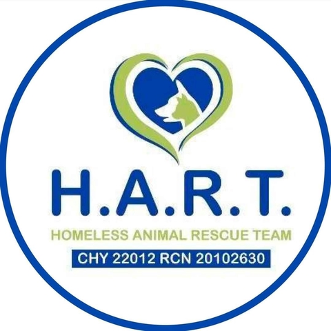 store_logo