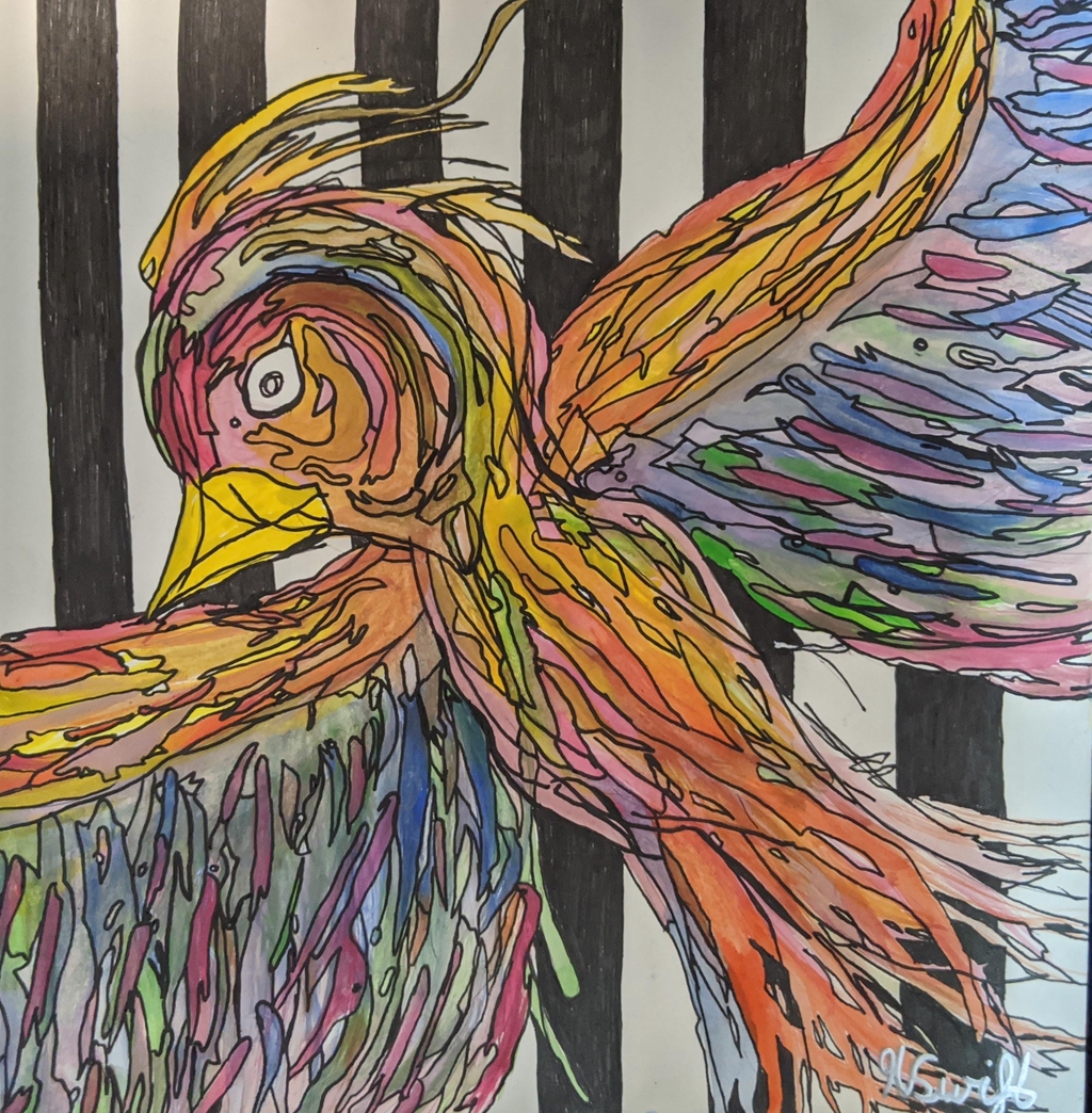 Colourful bird pattern 