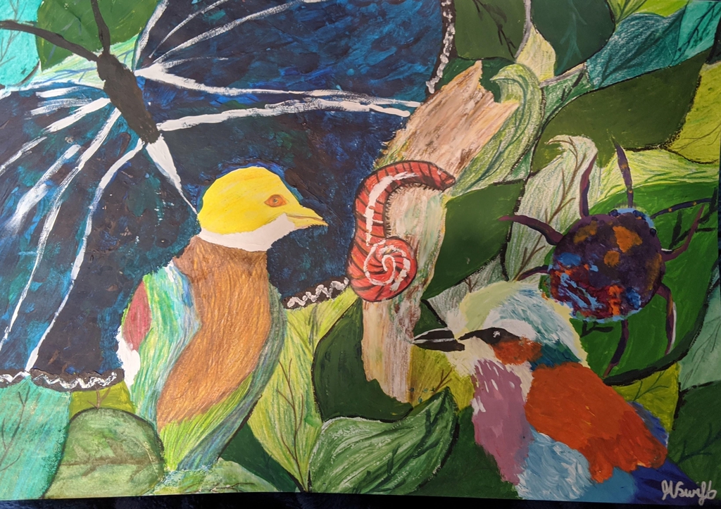 Mixed media wildlife bugs butterfly, birds and bettles 