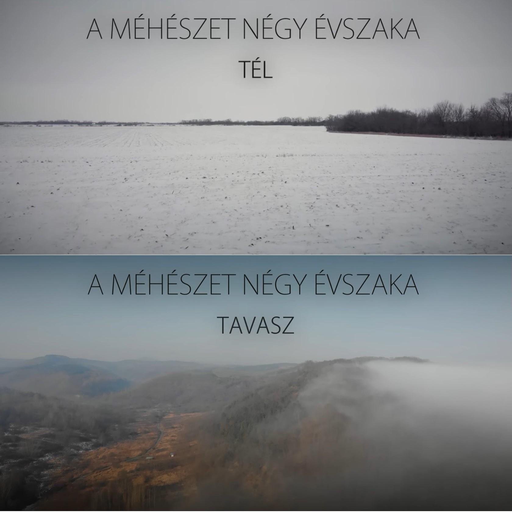 A méhészet négy évszaka