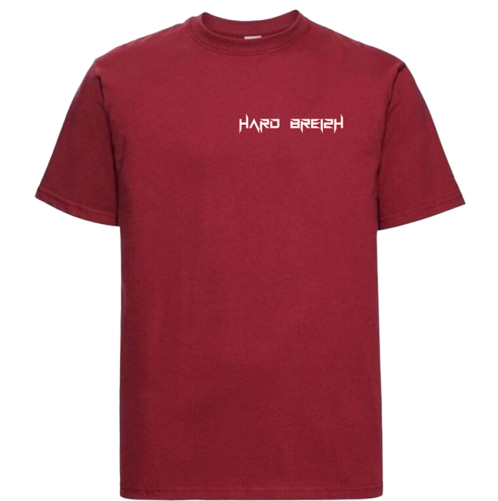 Tee-Shirt Homme