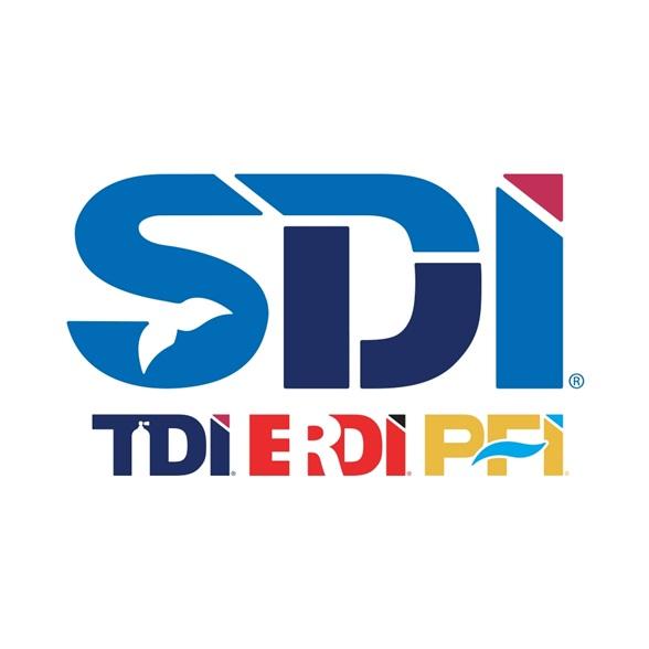 Kurse SDI TDI