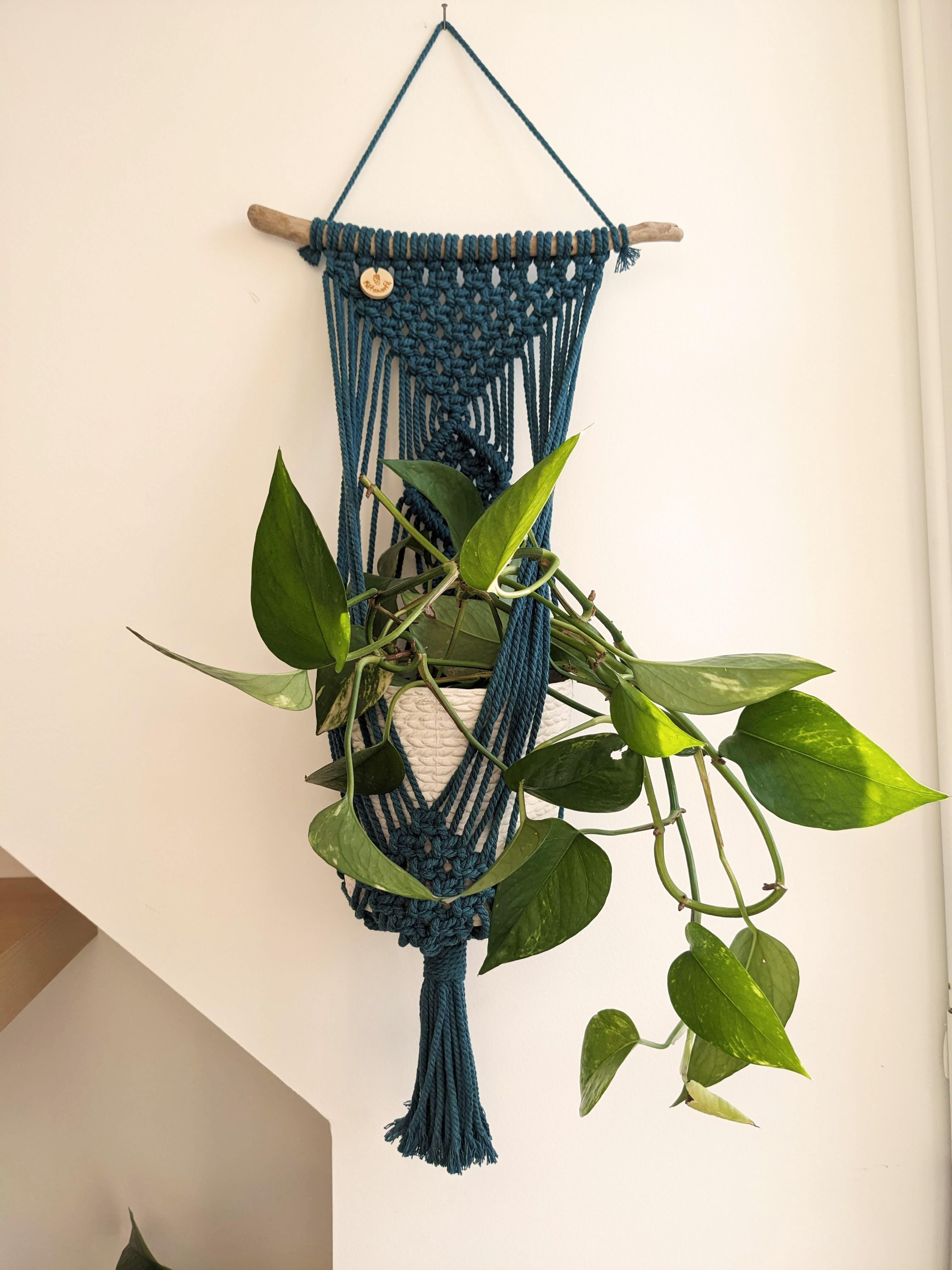 Porte-plante