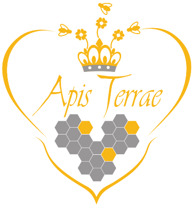 Hydromellerie Apis Terrae - 15220 Marcolès