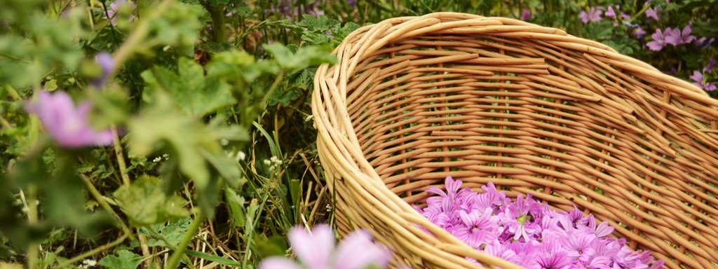 Cosmétiques naturels artisanales fabriqués en Occitanie
Paysanne herboriste