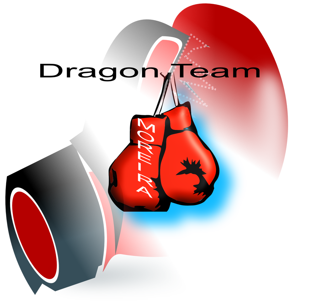 Drago, Team Moreira 
au crès 
entreprise partenaire 
medecinedoucemontpellier.fr