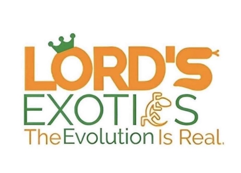 Lords exotics inverts and more
