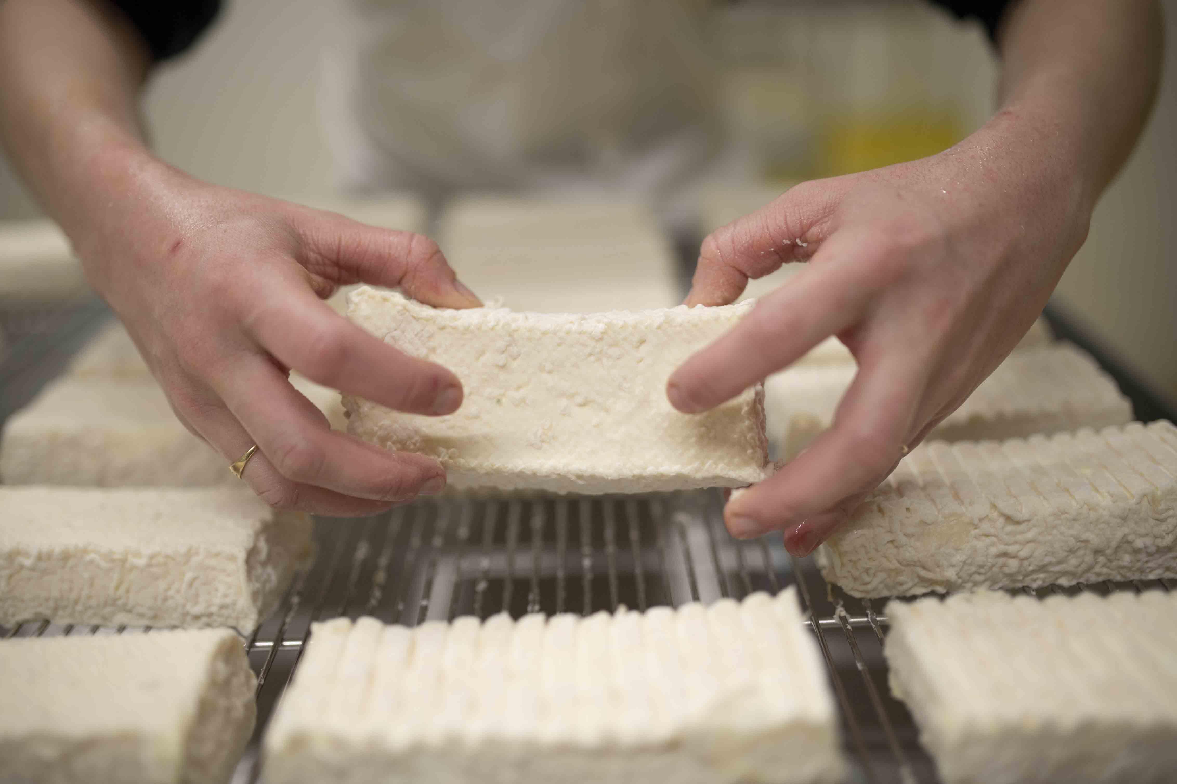 Fromages et yaourts authentiques au lait de brebis 